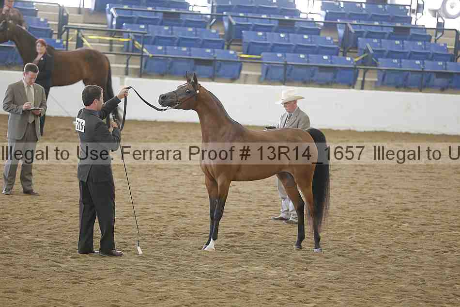 Proof 13r14_1657