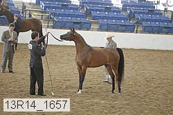13r14_1657 proof