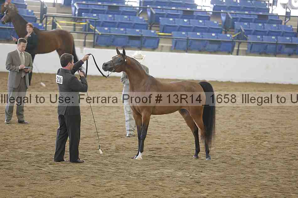 Proof 13r14_1658