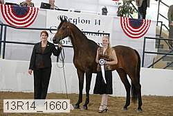 13r14_1660 proof
