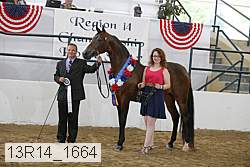 13r14_1664 proof