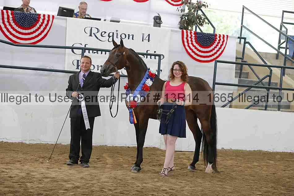 Proof 13r14_1665