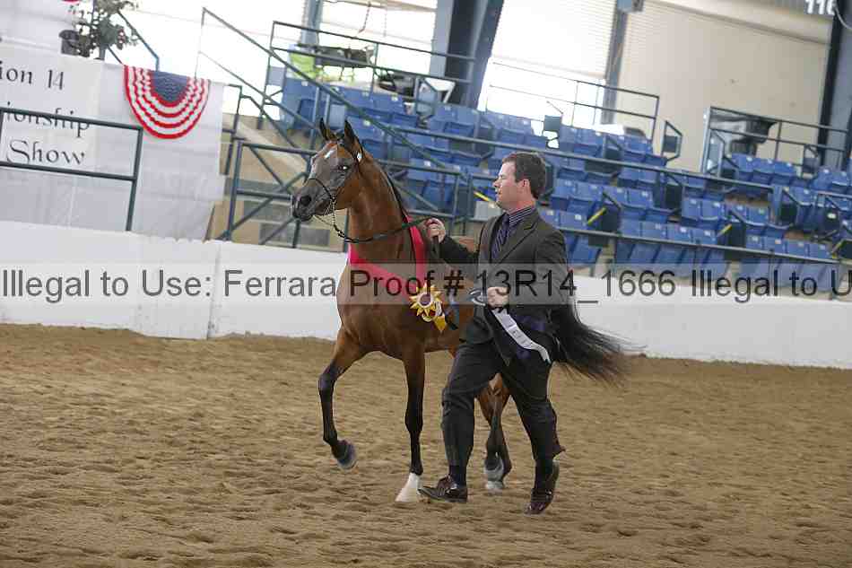 Proof 13r14_1666
