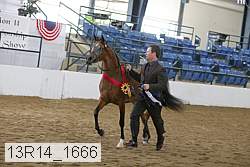 13r14_1666 proof