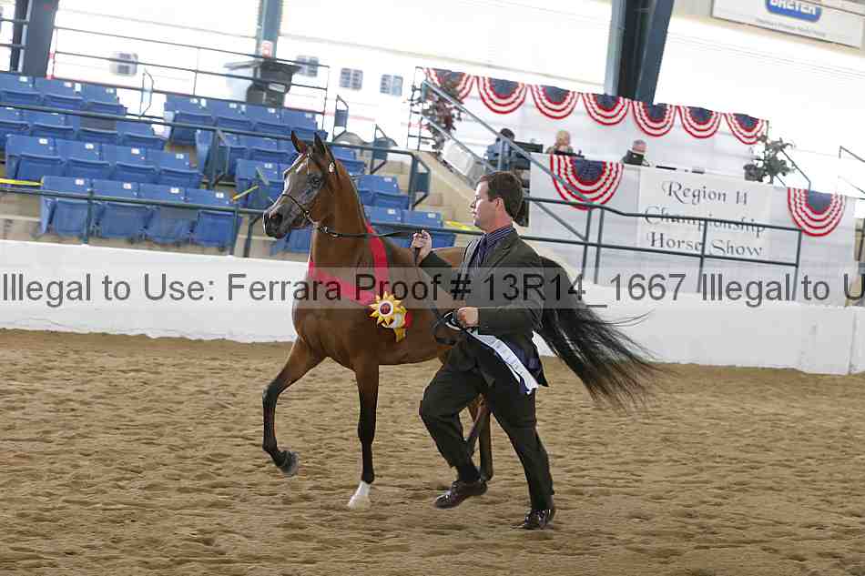 Proof 13r14_1667