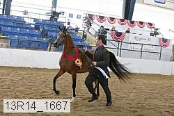 13r14_1667 proof