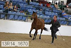 13r14_1670 proof