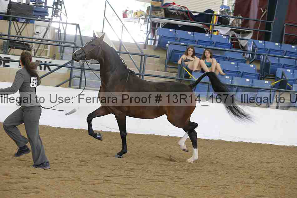 Proof 13r14_1671