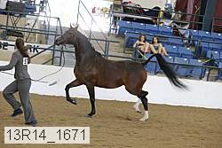13r14_1671 proof