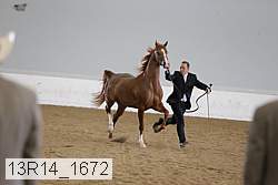 13r14_1672 proof