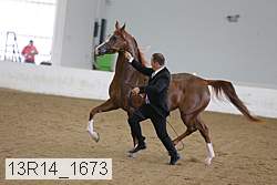 13r14_1673 proof