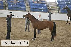 13r14_1679 proof
