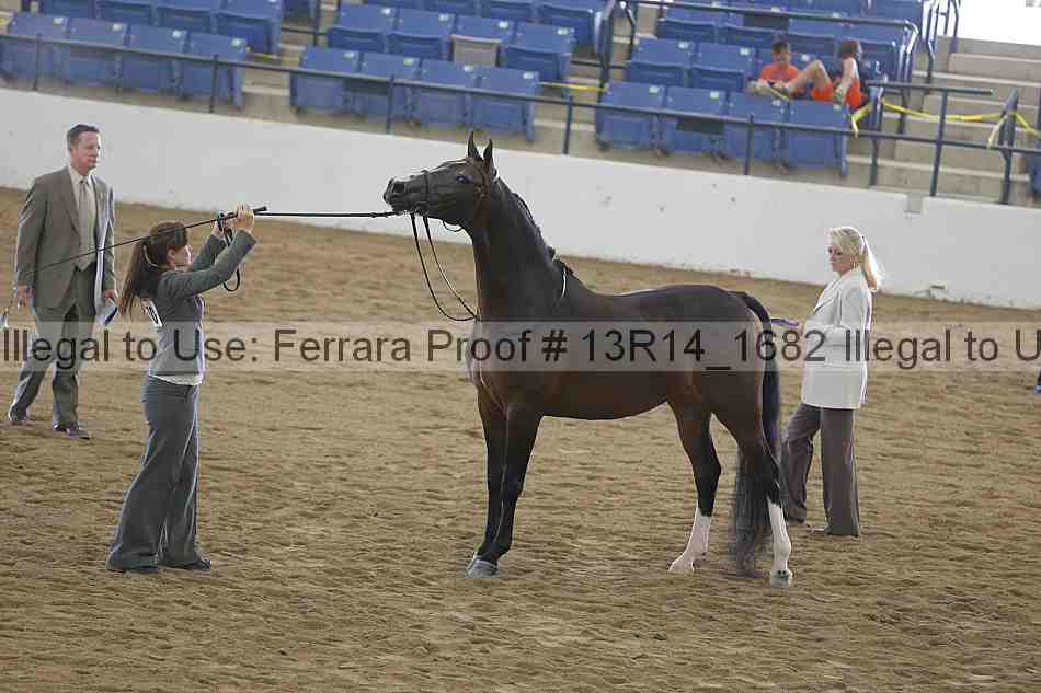 Proof 13r14_1682