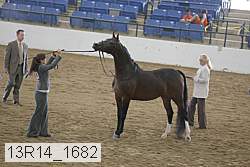 13r14_1682 proof