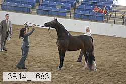 13r14_1683 proof