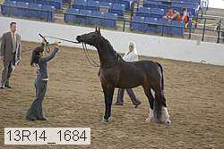 13r14_1684 proof