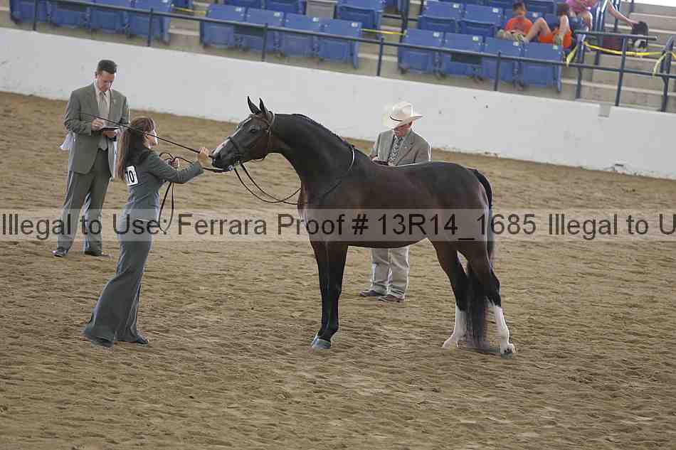 Proof 13r14_1685