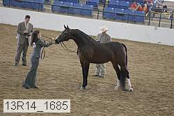 13r14_1685 proof