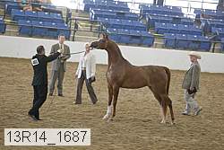 13r14_1687 proof