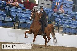 13r14_1700 proof