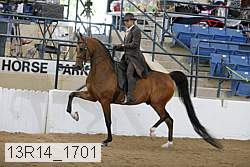 13r14_1701 proof