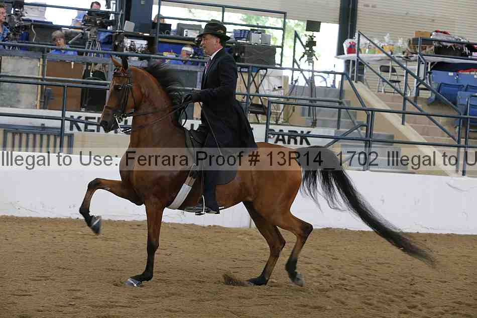 Proof 13r14_1702
