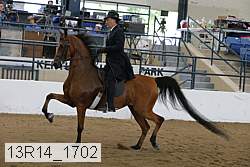 13r14_1702 proof