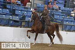 13r14_1708 proof