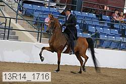 13r14_1716 proof