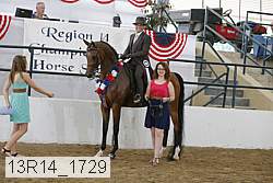 13r14_1729 proof