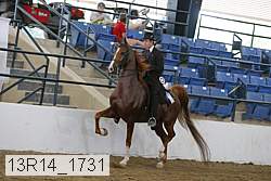 13r14_1731 proof