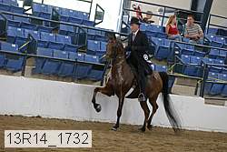 13r14_1732 proof