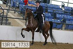 13r14_1733 proof