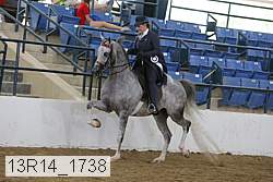 13r14_1738 proof