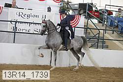 13r14_1739 proof