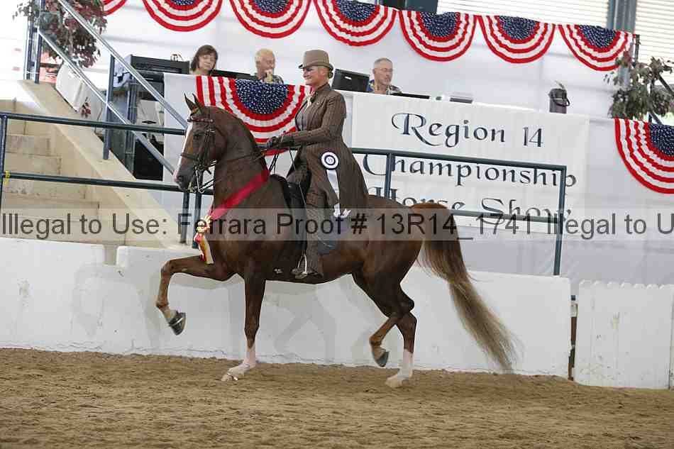 Proof 13r14_1741