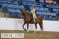 13r14_1753 proof