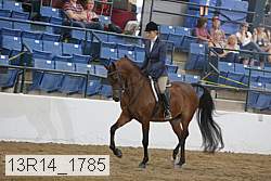 13r14_1785 proof