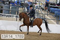 13r14_1789 proof
