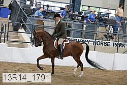 13r14_1791 proof