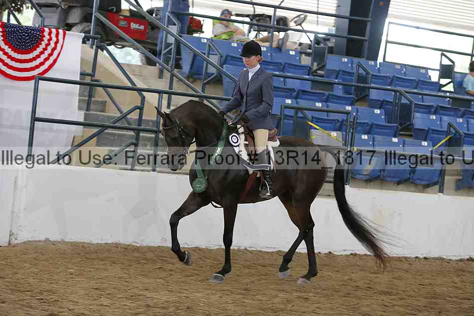 Proof 13r14_1817