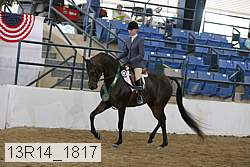 13r14_1817 proof