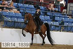 13r14_1839 proof