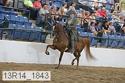 13r14_1843 proof