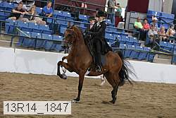 13r14_1847 proof