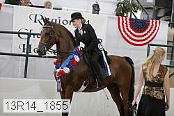 13r14_1855 proof