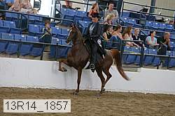 13r14_1857 proof