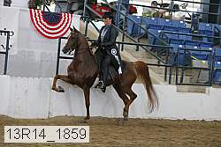 13r14_1859 proof