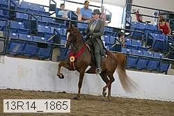 13r14_1865 proof