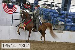 13r14_1867 proof